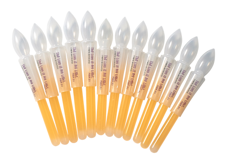 Candle Glow Sticks (12 Pack) Jesus, Prince of Peace