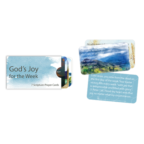 God's Joy for the Week - Scripture Prayer Cards in Sleeve