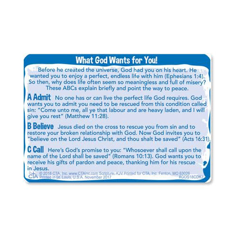 Silicone Bracelet & Card (KJV) - Gospel Story by Colors