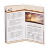 The Bible How to Read & Understand It