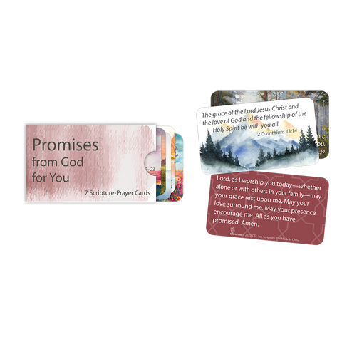 Promises from God for You - Scripture Prayer Cards in Sleeve